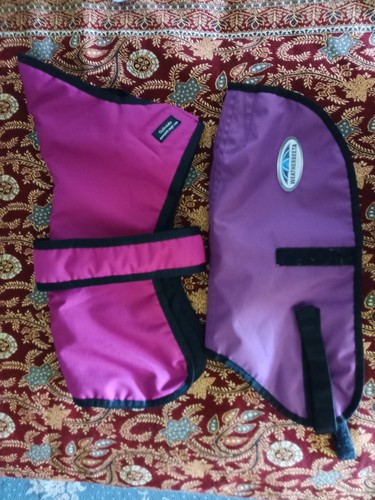 Quality dog coats outhwaite - dog,