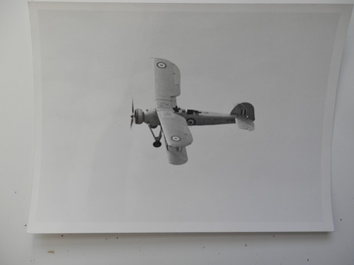 Original photo fairey - original,