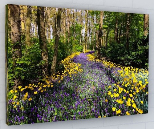 Bluebell woodland canvas - bluebell,