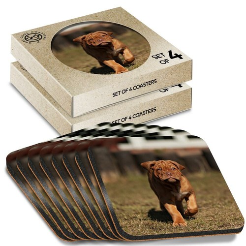 Boxed square coasters - x,