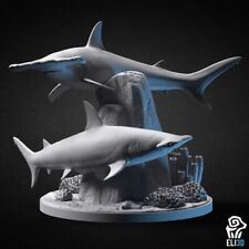 Hammerhead Shark Diorama - Eli