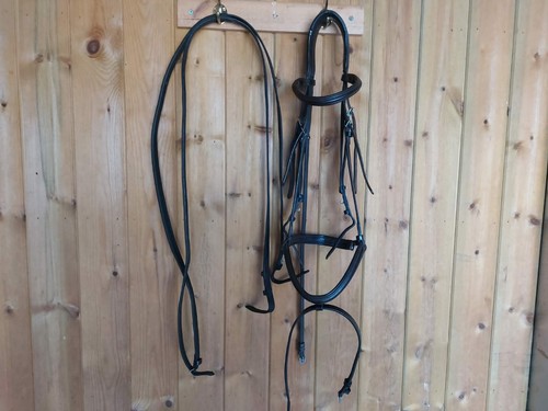 Lavollo brown flash - , bridle