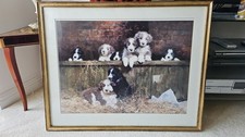 DAVID SHEPHERD: "Muffin's