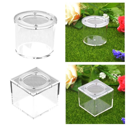 Reptile breeding box - ,