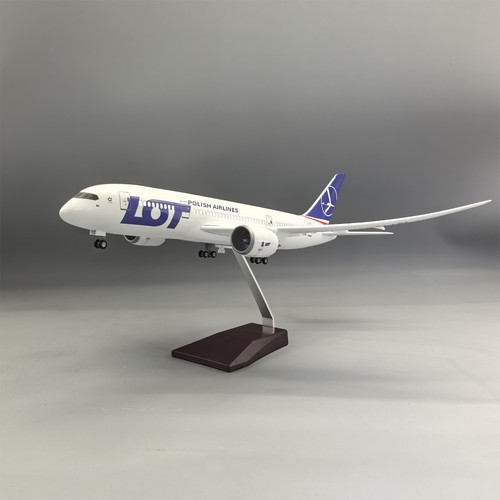 43cm scale b787 - scale,