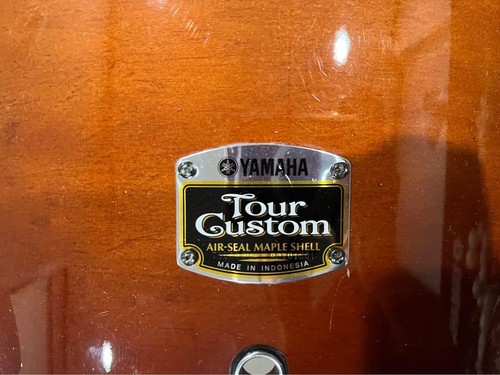2006 yamaha tour custom - 2006,
