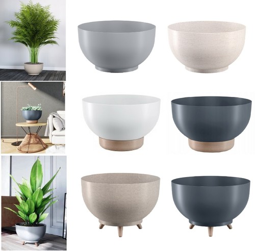 Bowl planter plant - planter,