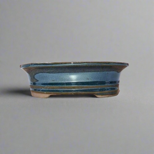 16cm glazed bonsai pot oval - bonsai,