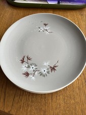 Royal Doulton England Frost