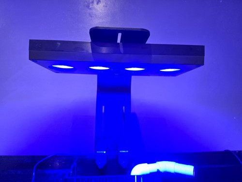 Hydra 64hd led marine reef - ai,