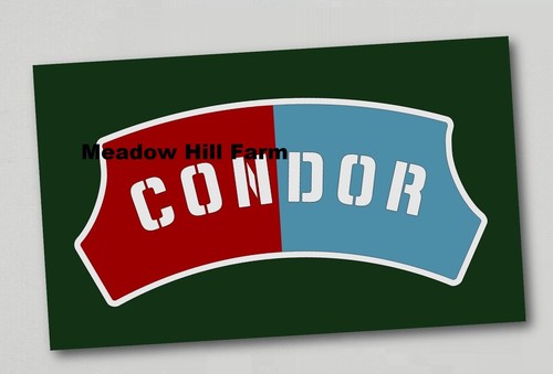Fridge magnet condor - magnet, br