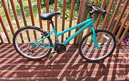 Arden trail 24in blue - trail,