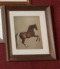 George Stubbs 'Whistlejacket'