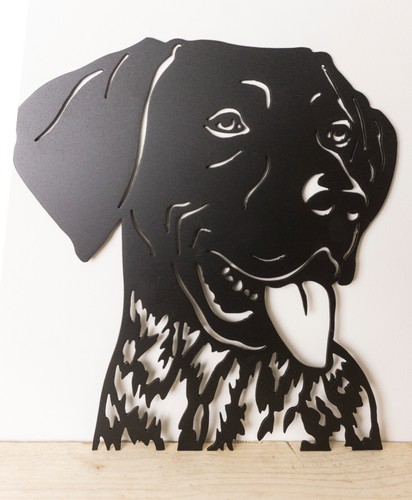 German short haired - haired, pointer