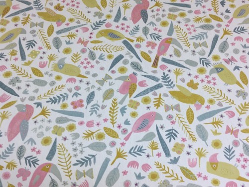 Fryetts toucan carnival - fryetts, birds