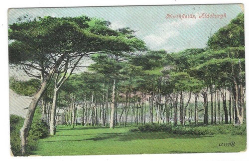 Old valentines postcard 1920 - old,