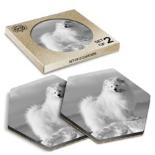 2 x Hexagon Coasters - BW - Samoyed Fluffy White Dog Puppy #35429