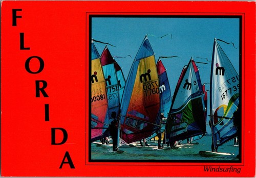 Florida windsurfing - florida,