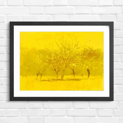 Blooming orchard trees spring - trees,