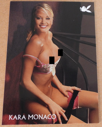 2005 playboy lingerie 100th - lingerie,