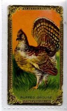 (Je6761) ITC CANADA,GAME BIRD