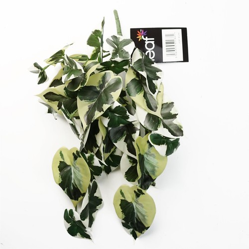 Artificial trailing variegated - artificial,