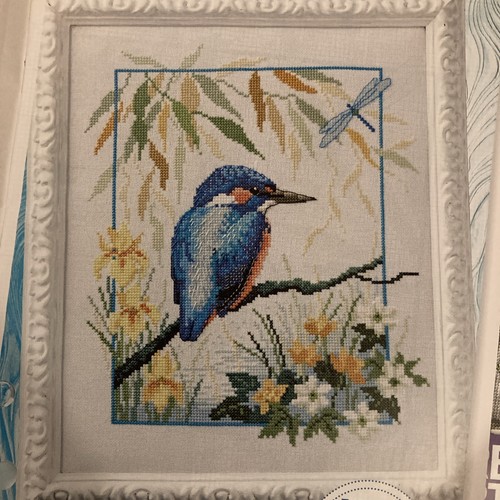 Kingfisher bird and dragonfly