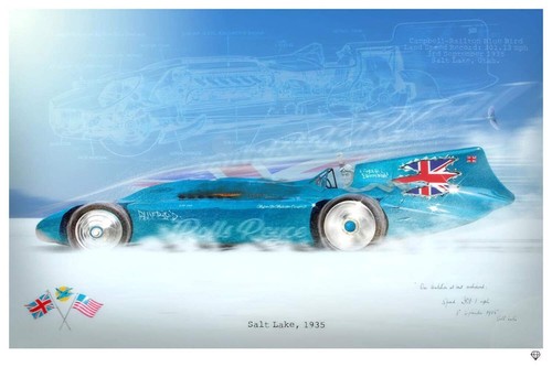 Bluebird adams - by, jj