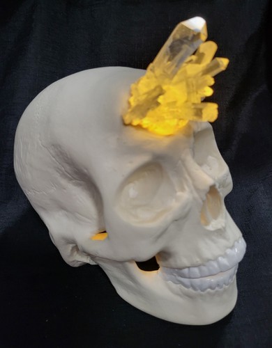 Human skull crystal skulls - human,
