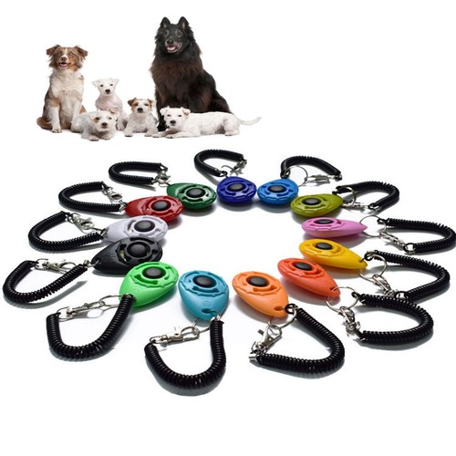 Pack pet puppy school - pack,