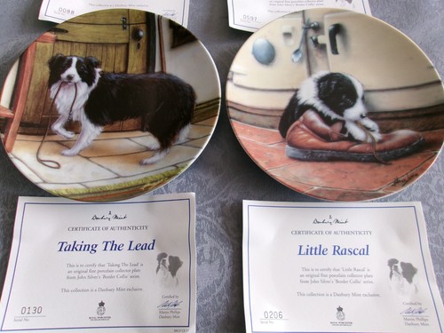 Decorative border collie - border,