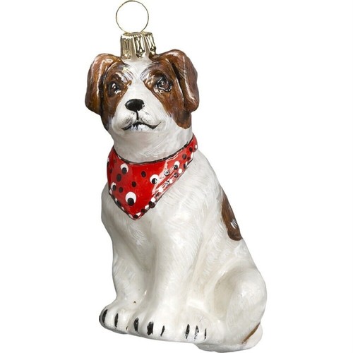 Parsons jack russell terrier - jack,