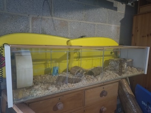 Glass hamster cage standard - glass,