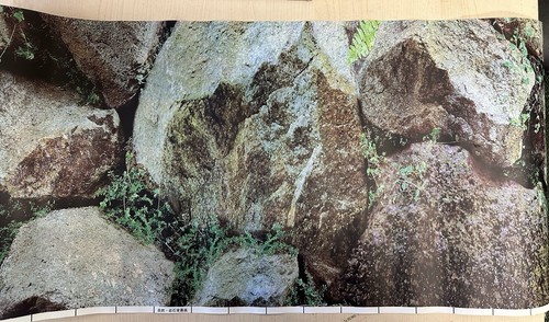 Fish tank reptile viv - tank,