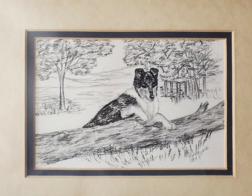 Vtg collie sheltie dog puppy - vtg,
