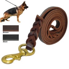 Braided Genuine Leather Dog