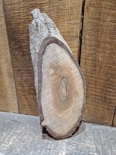 Live Edge Black Walnut Slab