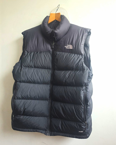 The north face 700 puffer - the,