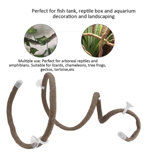Artificial reptile climbing - reptile,
