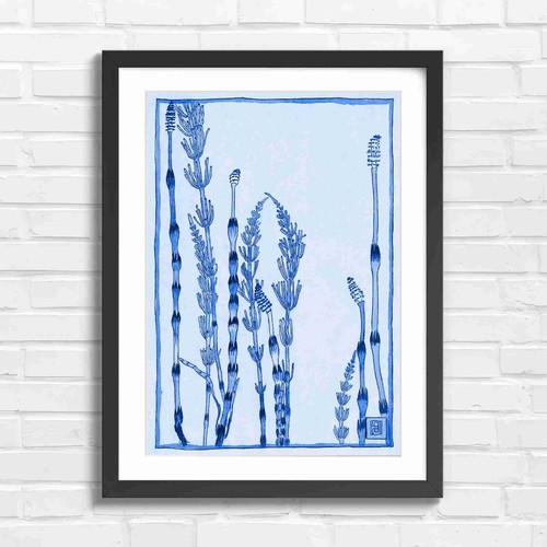 Botanical equiseum stems - equiseum,