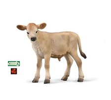 Jersey Cow Calf Cattle Farm