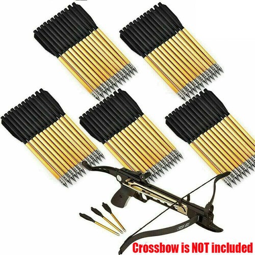 60pcs shooting bolts for - 60pcs,
