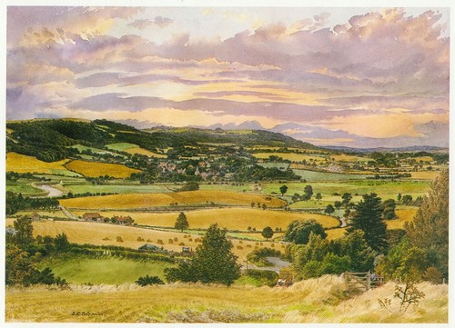 Amberley mount sussex - amberley,