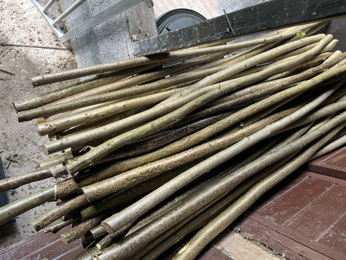 Hazel sticks shafts - hazel, /