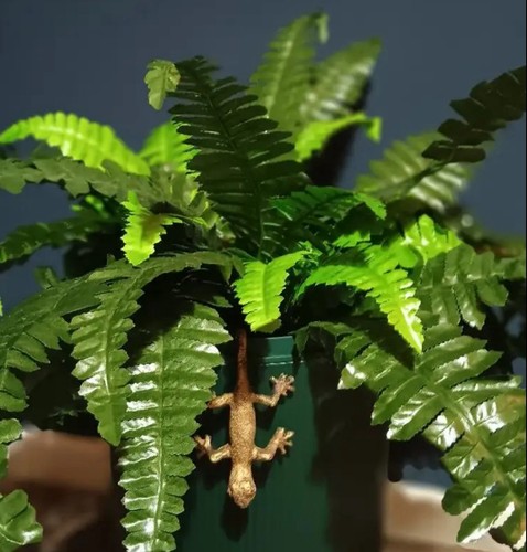 Antique look lizard - look, hanging