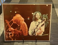 Vintage 1970s Eagles Don