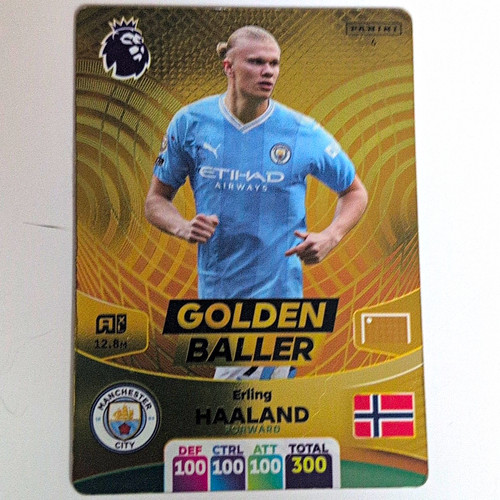 Panini adrenalyn premier - panini,
