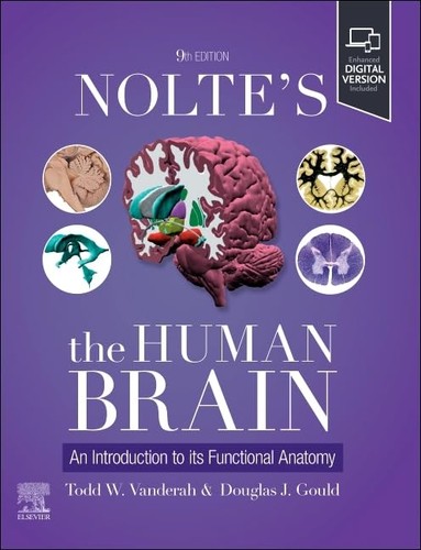 Nolte the human brain - nolte's, brain: