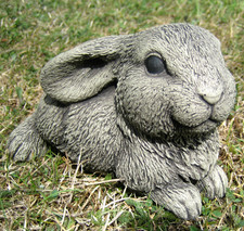 Lop eared rabbit - rabbit, garden