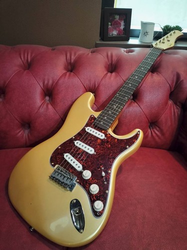 Hondo beginner guitar - beginner,
